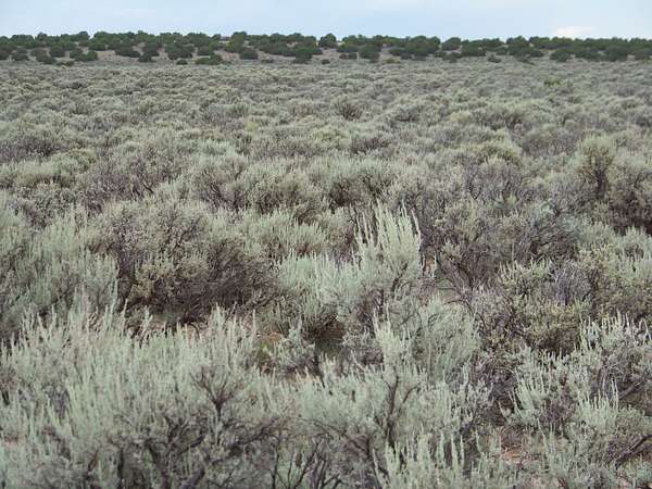 13.8 Acres of Land for Sale in Ojo Caliente, New Mexico