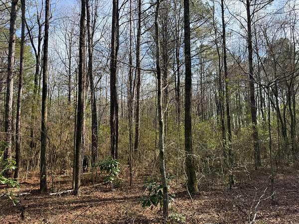 8 Acres of Residential Land for Sale in Dora, Alabama