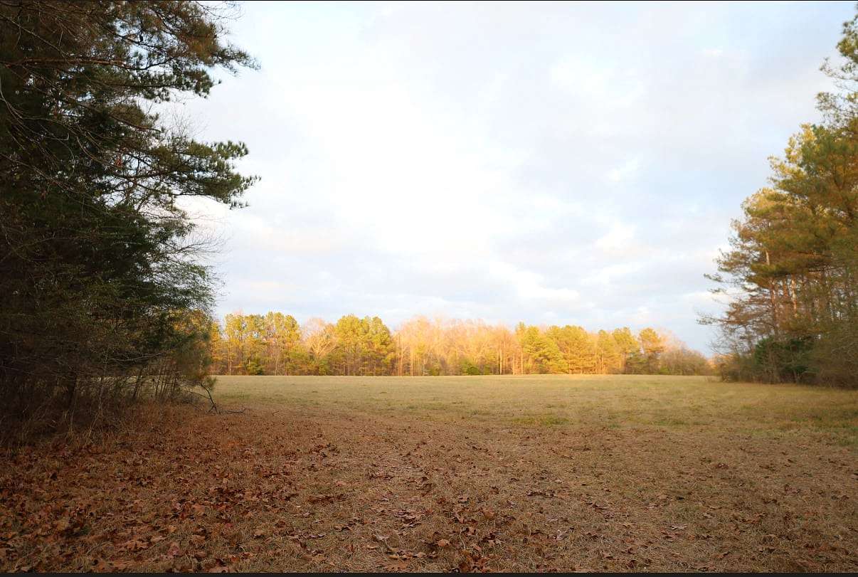 122 Acres of Recreational Land & Farm for Sale in Kennedy, Alabama