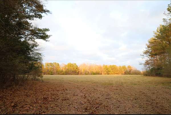 122 Acres of Recreational Land & Farm for Sale in Kennedy, Alabama