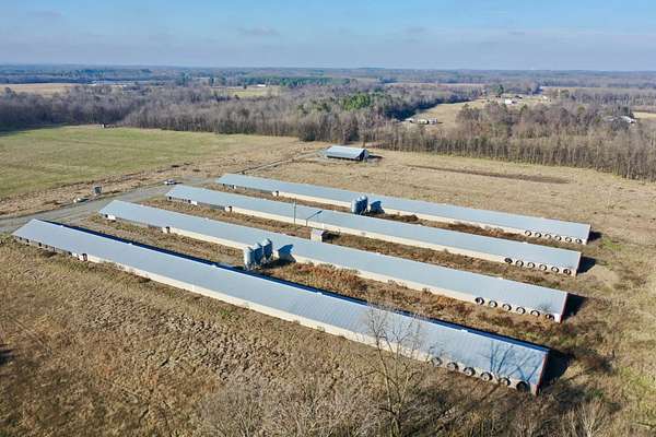 44 Acres of Agricultural Land for Sale in Town Creek, Alabama