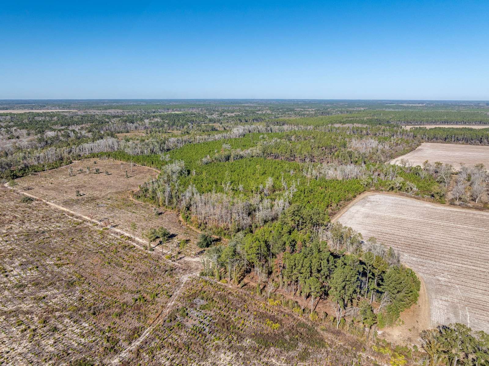 173 Acres of Recreational Land for Auction in Nashville, Georgia