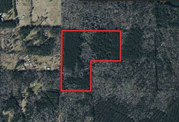 30 Acres of Recreational Land for Sale in Olla, Louisiana