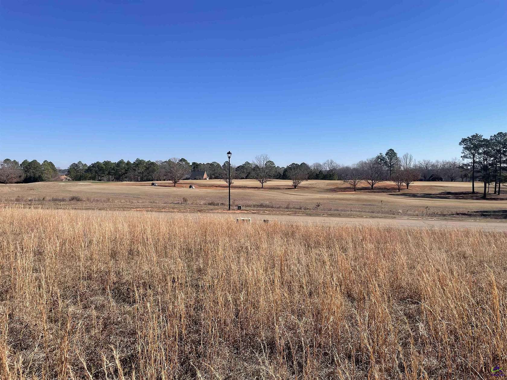 0.5 Acres of Residential Land for Sale in Hawkinsville, Georgia