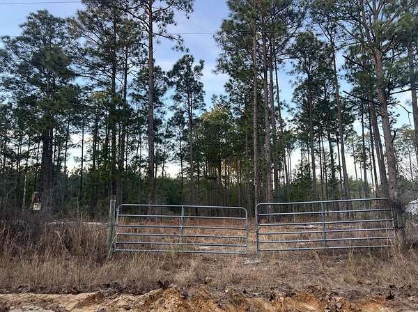 13 Acres of Agricultural Land for Sale in Gilbert, South Carolina