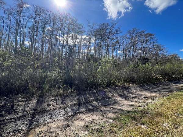 5 Acres of Residential Land for Sale in Naples, Florida