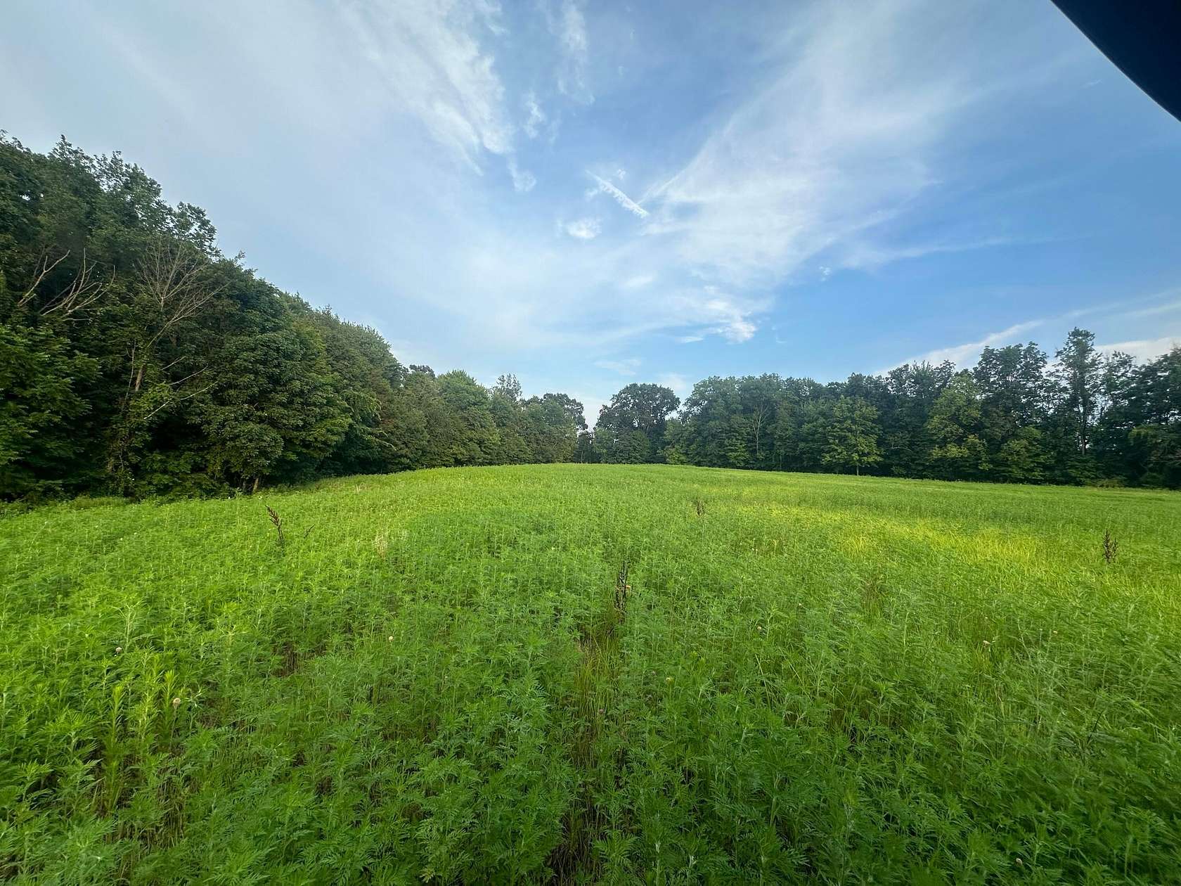 36 Acres of Land for Sale in Thornville, Ohio