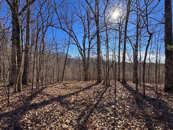 12.3 Acres of Land for Sale in Courtland, Mississippi