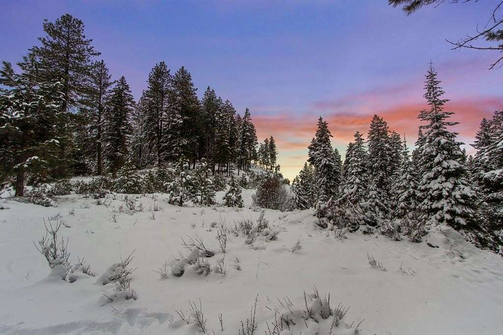 2.7 Acres of Residential Land for Sale in Cascade, Idaho