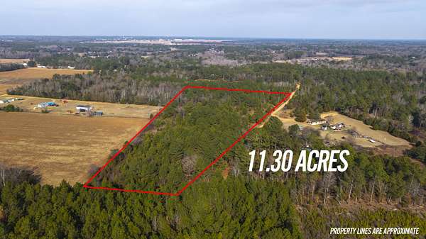 11.3 Acres of Land for Sale in Wedgefield, South Carolina