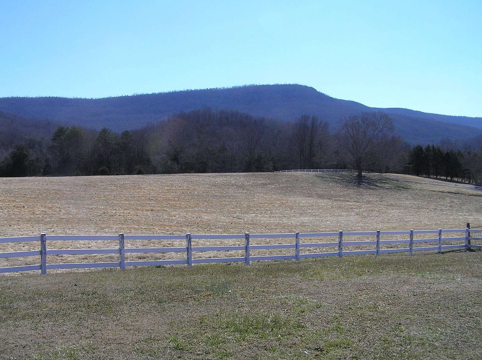 66.4 Acres of Agricultural Land with Home for Sale in Dunlap, Tennessee