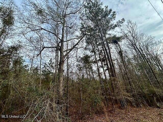 18.7 Acres of Recreational Land for Sale in Bogue Chitto, Mississippi