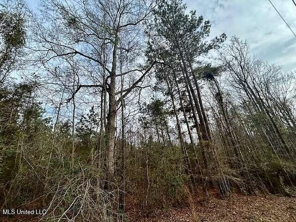 18.7 Acres of Recreational Land for Sale in Bogue Chitto, Mississippi