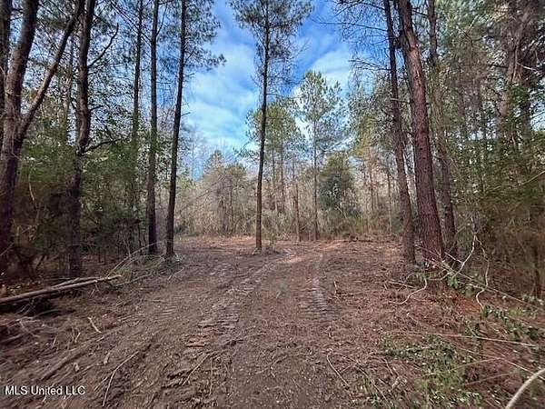 4 Acres of Residential Land for Sale in Magnolia, Mississippi