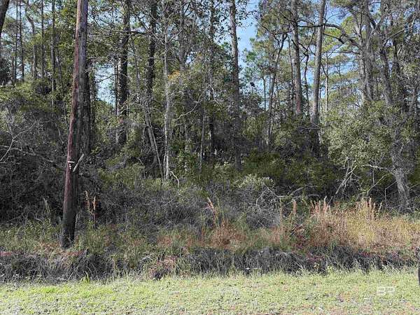 0.3 Acres of Residential Land for Sale in Dauphin Island, Alabama