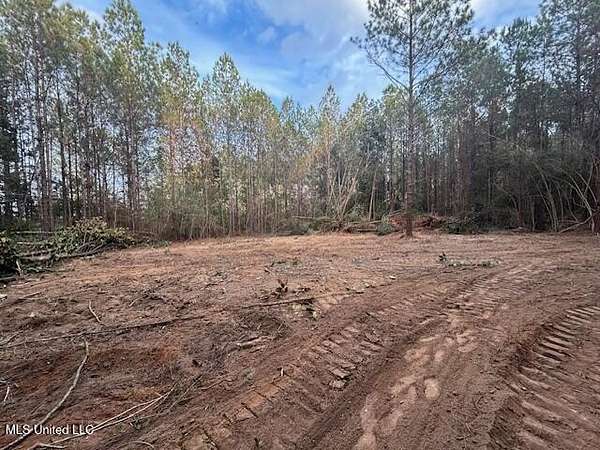 8 Acres of Residential Land for Sale in Magnolia, Mississippi