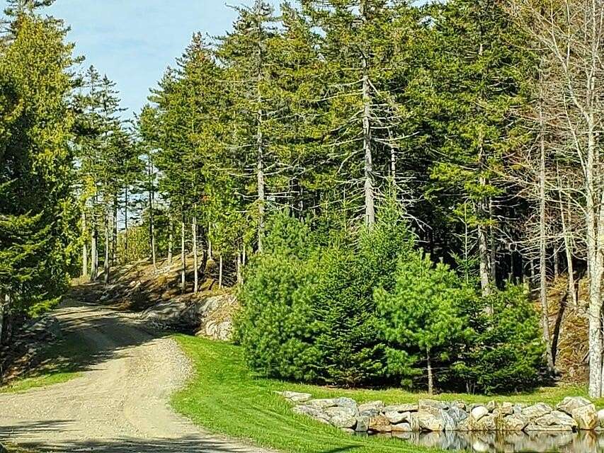 27 Acres of Land for Sale in Saint George, Maine