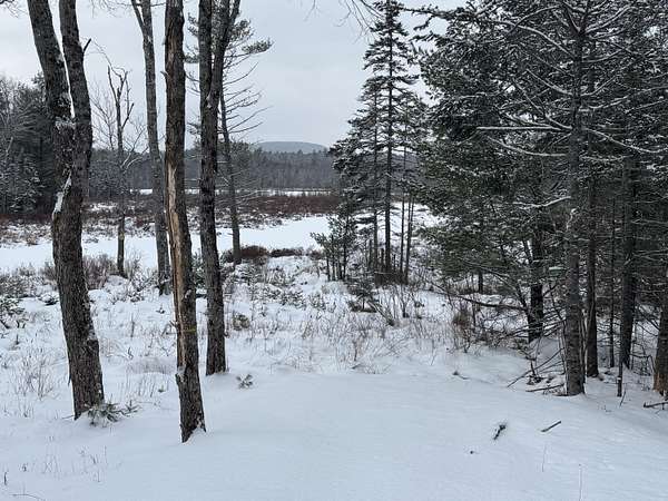 75 Acres of Recreational Land for Sale in Blue Hill, Maine