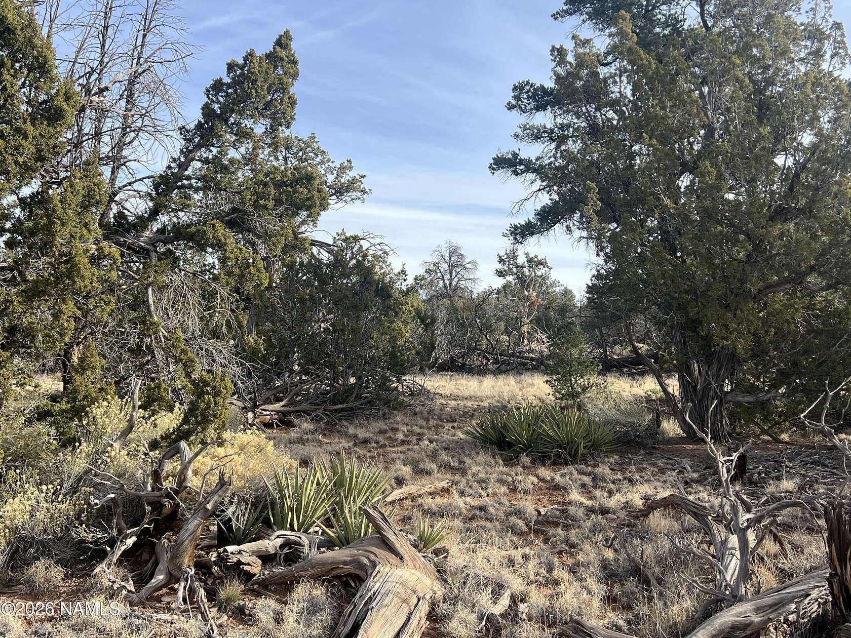 10 Acres of Land for Sale in Williams, Arizona