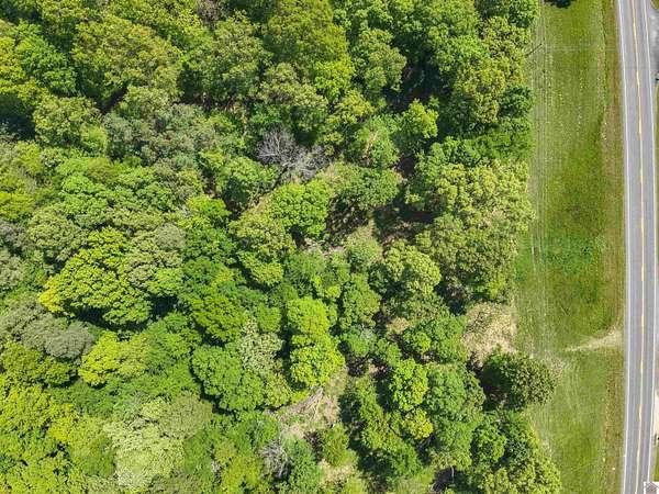 26.6 Acres of Recreational & Residential Land for Sale in Calvert City, Kentucky