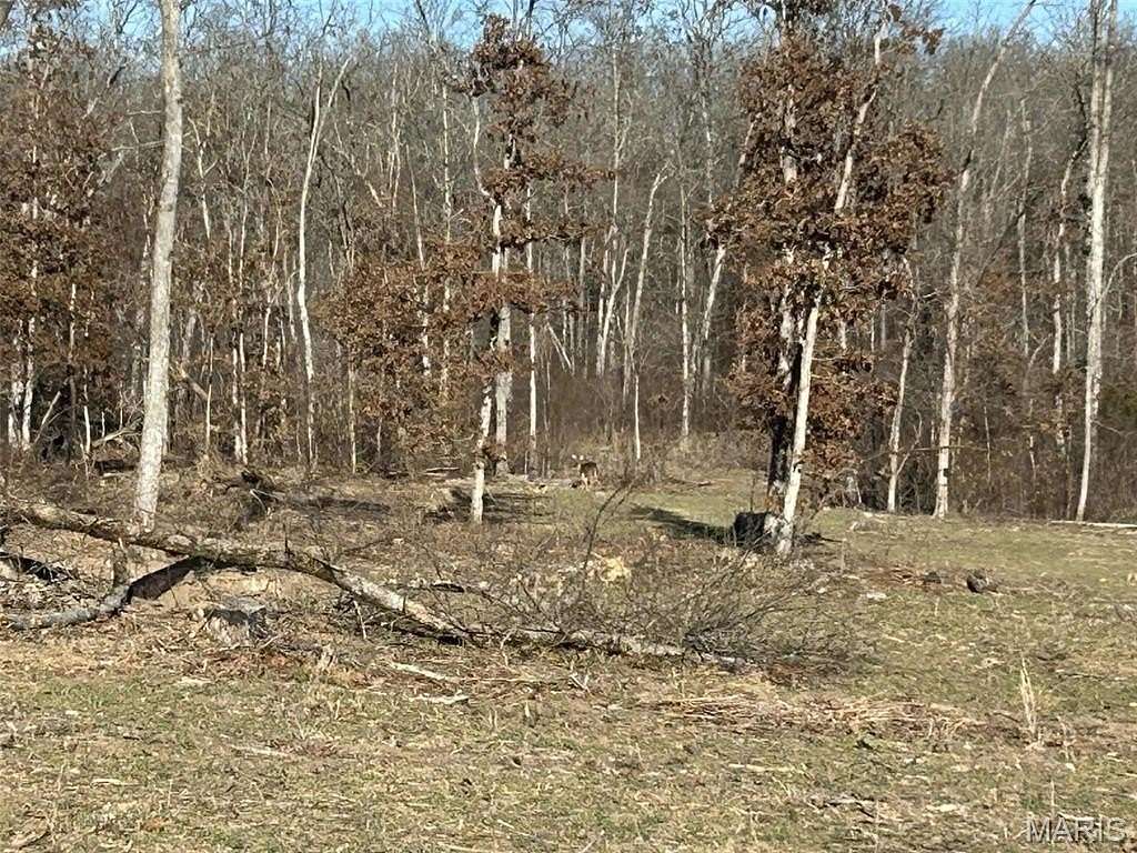 75 Acres of Recreational & Residential Land for Sale in Leasburg, Missouri