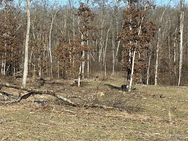 75 Acres of Recreational & Residential Land for Sale in Leasburg, Missouri