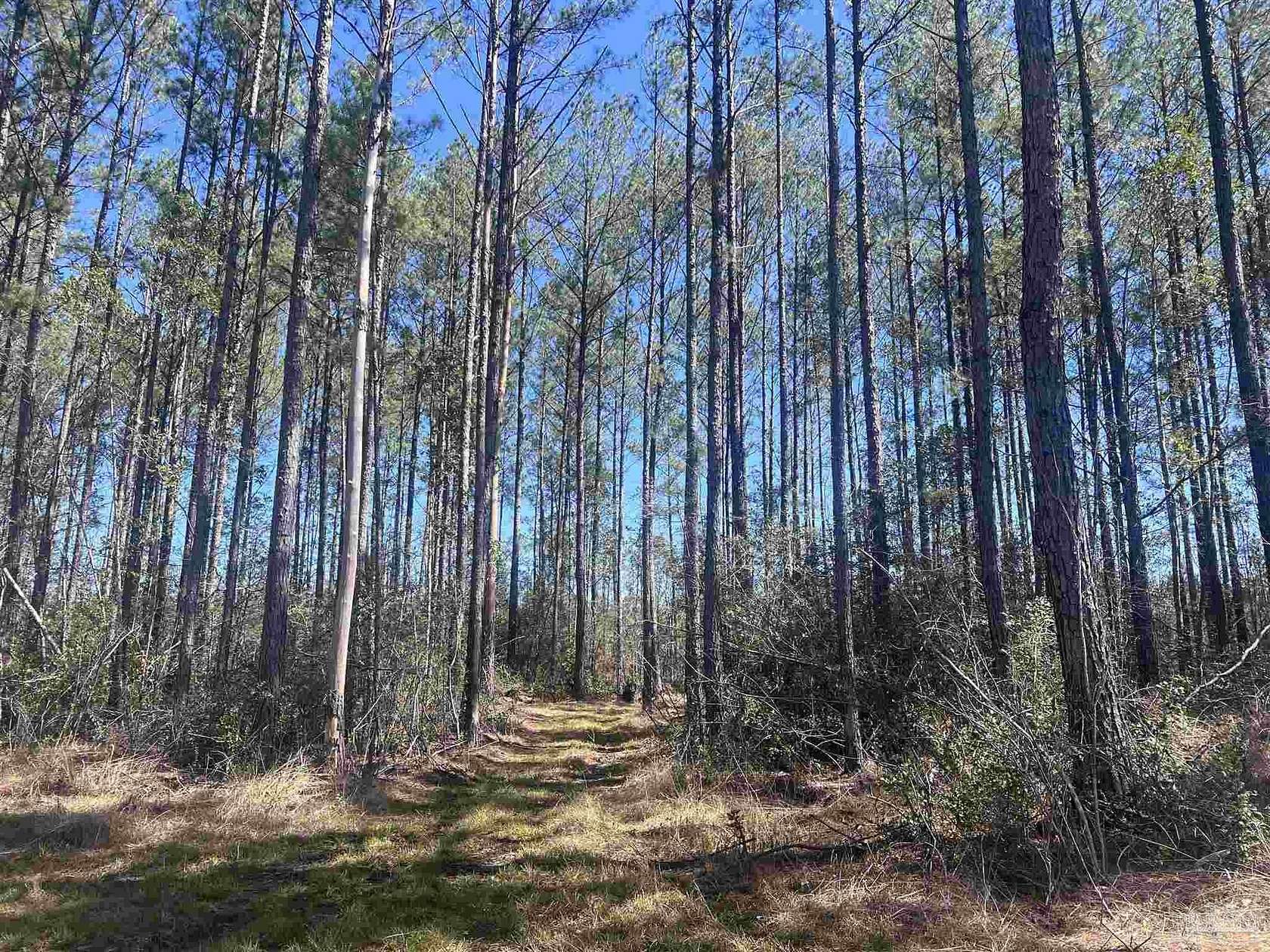 15 Acres of Recreational Land for Sale in Atmore, Alabama