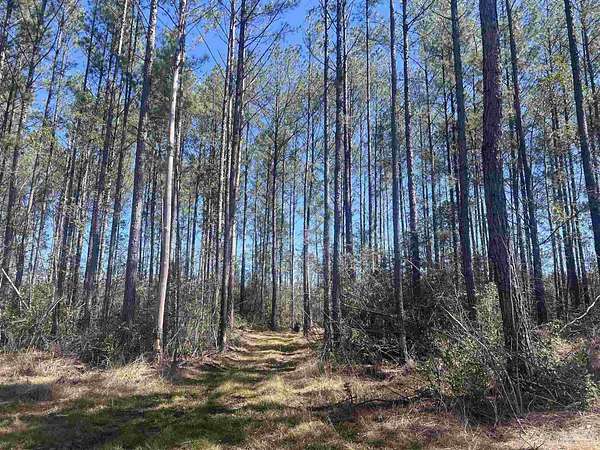 15 Acres of Recreational Land for Sale in Atmore, Alabama
