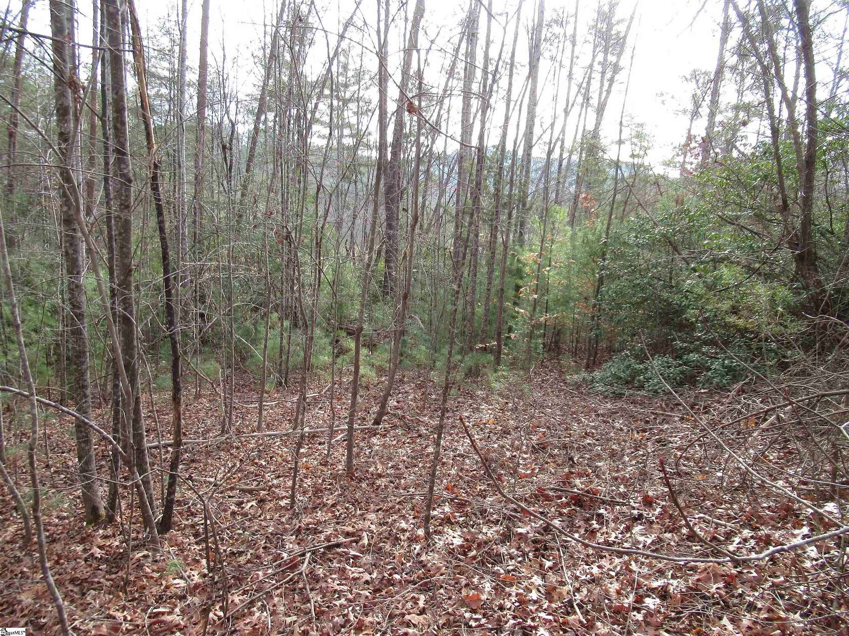 0.37 Acres of Residential Land for Sale in Pickens, South Carolina