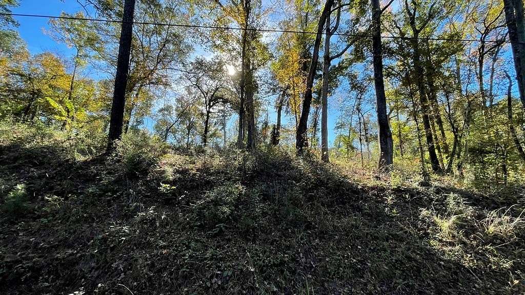 0.28 Acres of Residential Land for Sale in Hemphill, Texas