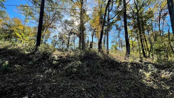 0.28 Acres of Residential Land for Sale in Hemphill, Texas