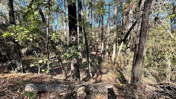 0.56 Acres of Residential Land for Sale in Hemphill, Texas