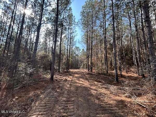 11 Acres of Recreational Land for Sale in Magnolia, Mississippi