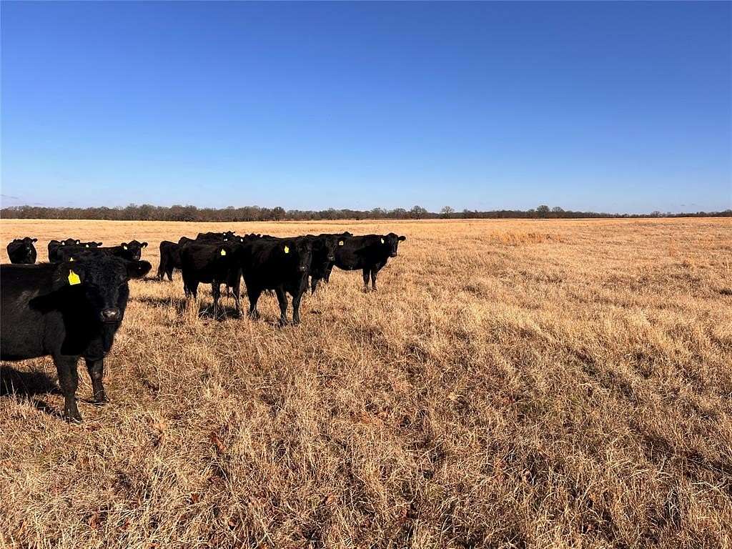 160 Acres of Recreational Land for Sale in Okemah, Oklahoma