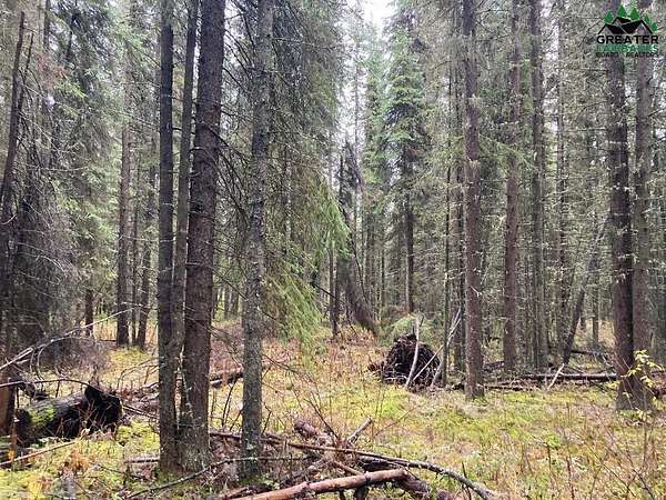 3 Acres of Residential Land for Sale in Fairbanks, Alaska