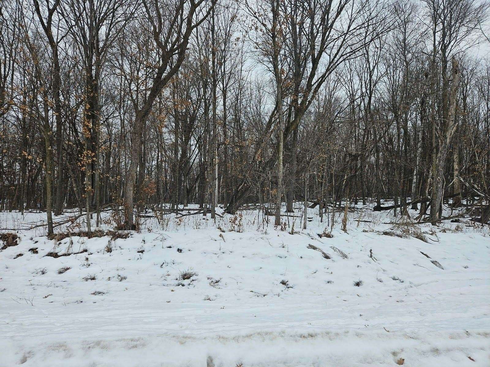 2.1 Acres of Residential Land for Sale in St. Stephen, Minnesota