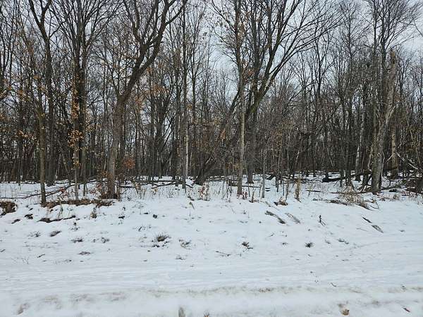 2.1 Acres of Residential Land for Sale in St. Stephen, Minnesota