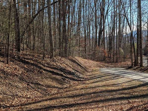 1.3 Acres of Land for Sale in Cartoogechaye Township, North Carolina