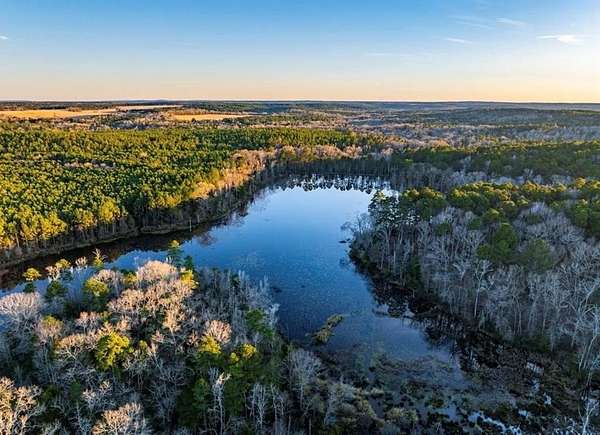 142 Acres of Recreational Land for Sale in Frankston, Texas