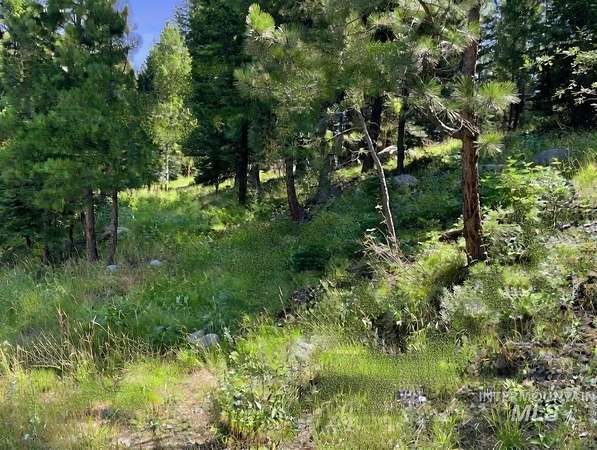 0.66 Acres of Land for Sale in McCall, Idaho