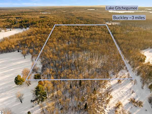 20 Acres of Recreational Land for Sale in Kingsley, Michigan