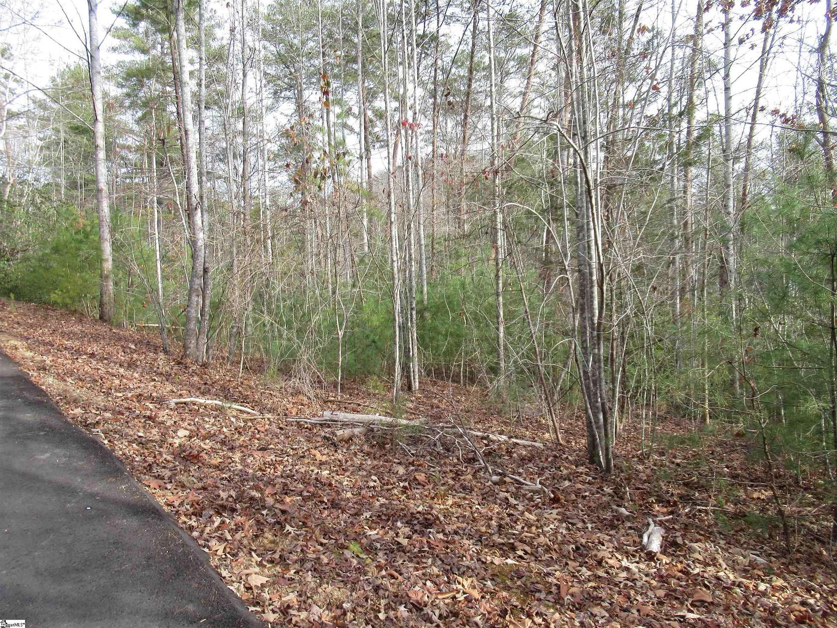 0.35 Acres of Residential Land for Sale in Pickens, South Carolina