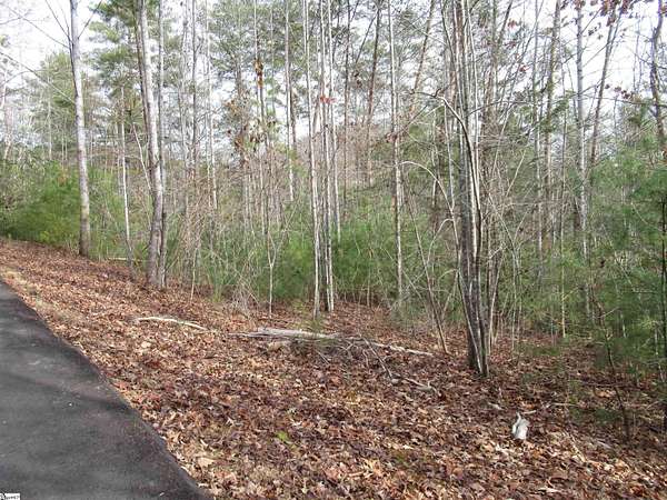0.35 Acres of Land for Sale in Pickens, South Carolina
