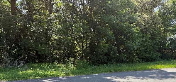 1.62 Acres of Residential Land for Sale in Lady Lake, Florida