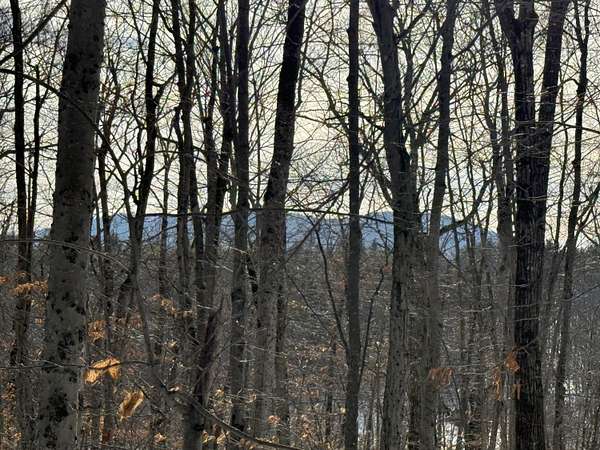 2.49 Acres of Residential Land for Sale in Bridgton, Maine