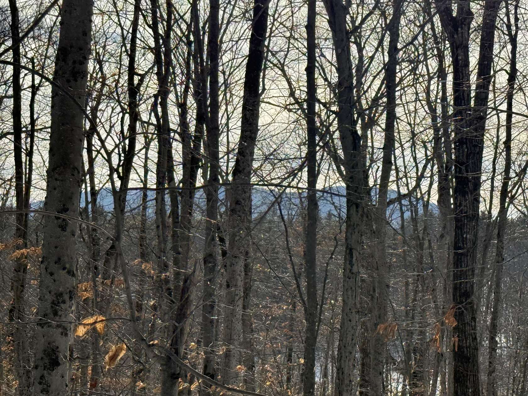 2.5 Acres of Residential Land for Sale in Bridgton, Maine