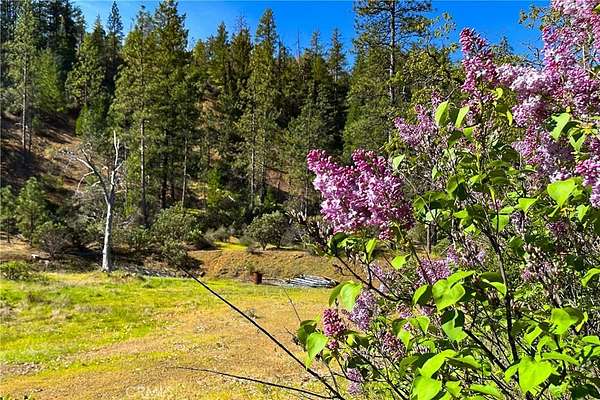 16.8 Acres of Land for Sale in Junction City, California