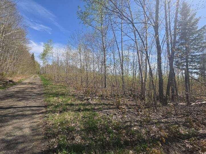 50 Acres of Recreational Land for Sale in Perham, Maine