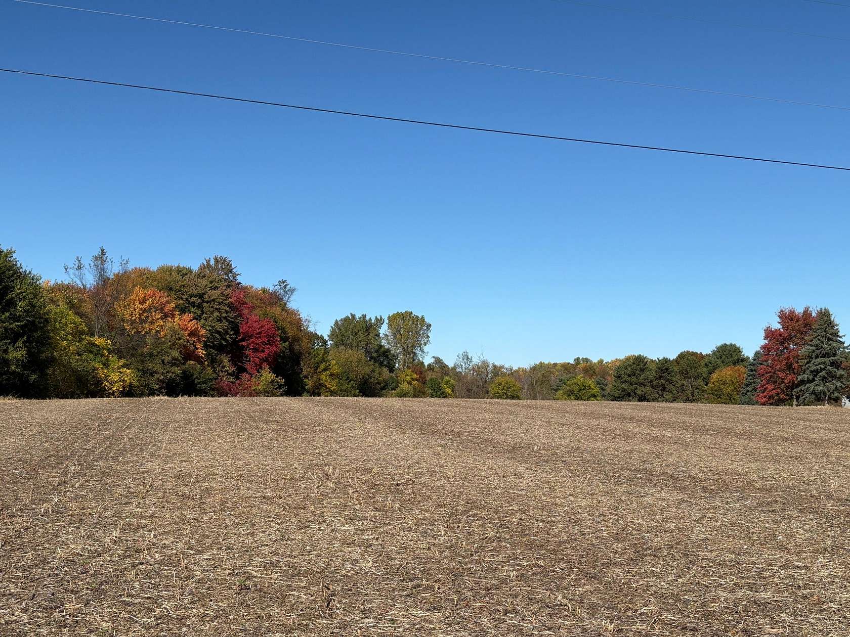 30.4 Acres of Land for Sale in Vicksburg, Michigan