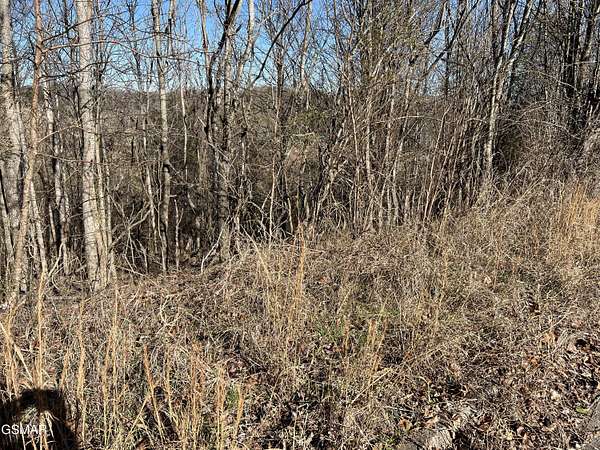 0.92 Acres of Residential Land for Sale in New Market, Tennessee